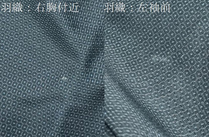 平和屋着物●男性 本場大島紬 アンサンブル 100亀甲 総詰め 正絹 逸品 DABB0551ud