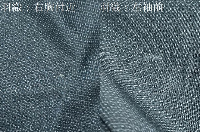 平和屋着物●男性 本場大島紬 アンサンブル 100亀甲 総詰め 正絹 逸品 DABB0551ud