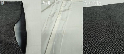 平和屋着物●江戸小紋 四代目松綱 砂川健一 角通し 正絹 逸品 DABB0560ud