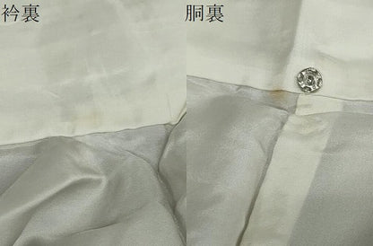 平和屋着物●訪問着 友禅 流水草花文 正絹 逸品 DABB0561ud