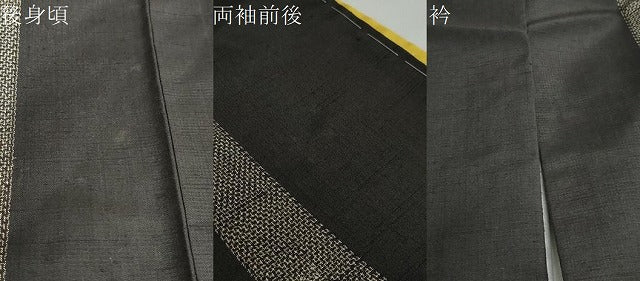平和屋着物●訪問着 紬地 刺繍 駒 黒地 銀彩 正絹 逸品 未使用 DABB0578ud