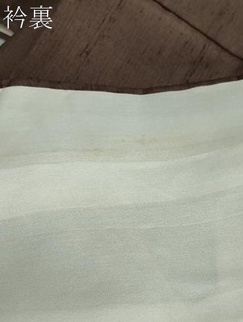 平和屋着物●訪問着 友禅 白山紬 枝花文 正絹 逸品 DABB0661ud