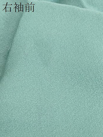 平和屋着物●上質な色無地 青竹色 正絹 逸品 DABB0697ud