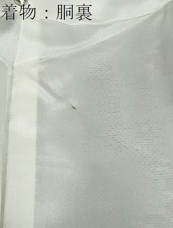 平和屋着物●本場大島紬　アンサンブル　白大島　草花間道　正絹　逸品　DABB0731ud