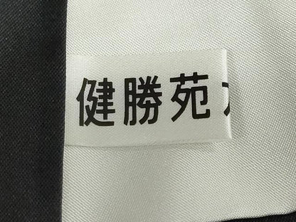 平和屋着物●訪問着 紬地 壁画文様 健勝苑扱い 正絹 逸品 未使用 DABB0768ud