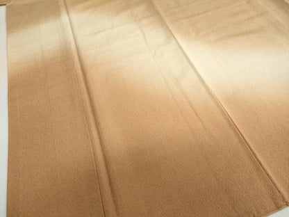 平和屋着物●伝統工芸師 服部光擴 江戸小紋 訪問着 霞文 鮫小紋柄 暈し染め 正絹 逸品 DABB0779ud