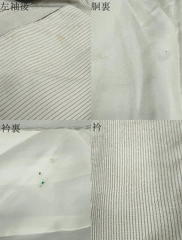 平和屋着物●中国三大刺繍 相良刺繍 総刺繍 訪問着 紬地 草花文 金糸 三越扱い ロング丈 正絹 逸品 DABB0849ud