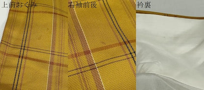 平和屋着物●黄八丈 綾織 格子文 京王百貨店扱い 正絹 逸品 DABB0863ud