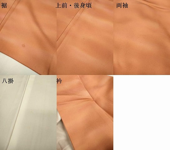 平和屋着物▼虹色創家 本郷大田子 小紋 霞文 暈し染 正絹 逸品 DABB1193fe