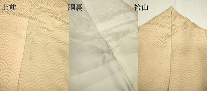 平和屋着物▼上質な小紋 青海波 暈し染 正絹 逸品 DABB1625fe