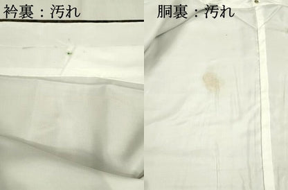 平和屋着物■上質な紬　風景花文　正絹　逸品　DABB2856qp