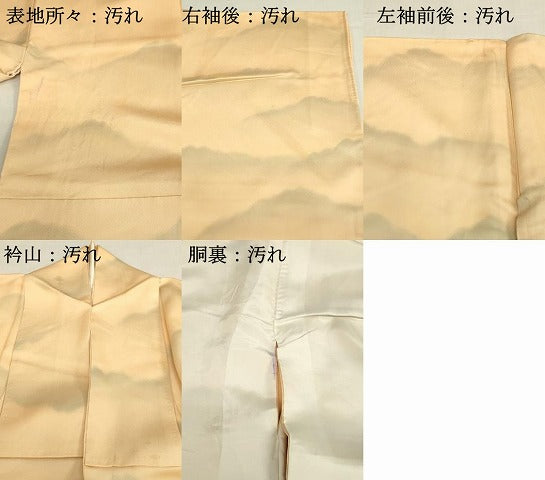 平和屋着物■上質な小紋 霞文 暈し染め 正絹 逸品 DABB2889qp
