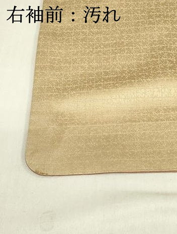 平和屋着物■訪問着 駒刺繍 飛鶴花車文 暈し染め 金彩 正絹 逸品 DABB2892qp