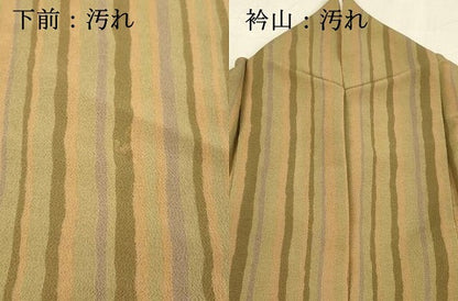 平和屋着物■上質な小紋　間道　鬼しぼ縮緬　正絹　逸品　DABB3038cm