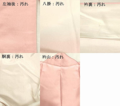 平和屋着物■訪問着 枝花文 暈し染め 金銀彩 正絹 逸品 DABB3758cm