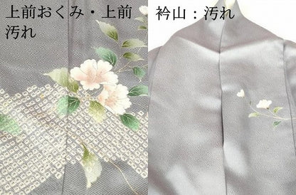 平和屋着物■訪問着 枝花文 金銀彩 正絹 逸品 DABB3780cm