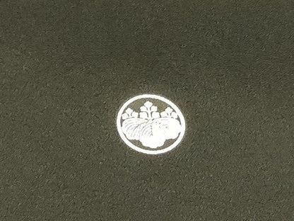 平和屋着物■豪華黒留袖　宝尽くし飛鶴文箱枝花文　暈し染め　金彩　正絹　逸品　DABB3888cm
