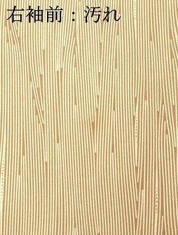 平和屋着物■上質な小紋 抽象文様 正絹 逸品 DABB3942cm