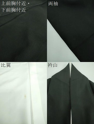 平和屋着物●国際的伝統工芸作家　十二代・藤林徳扇　苑寿　黒留袖　総駒刺繍　総刺繍　若松葉　金銀糸　正絹　逸品　DABB4149ps