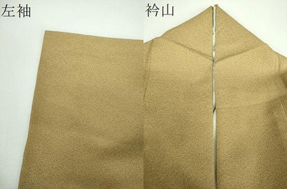 平和屋着物●江戸小紋　作家物　草木染　草花文　正絹　逸品　DABB4717ps