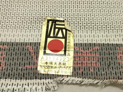 平和屋着物●男性　本場大島紬　反物　着尺　アンサンブル　白大島　100亀甲　総詰め　逸品　未使用　DABB5539zy