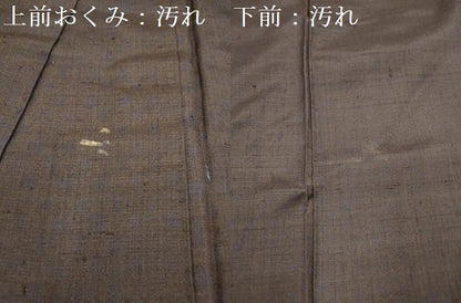 平和屋着物■上質な紬　霞文　正絹　逸品　DABB6604ea