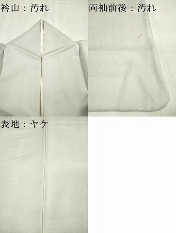 平和屋着物■色留訪問着　地紋起こし　樹林文　正絹　逸品　DABB6663ea