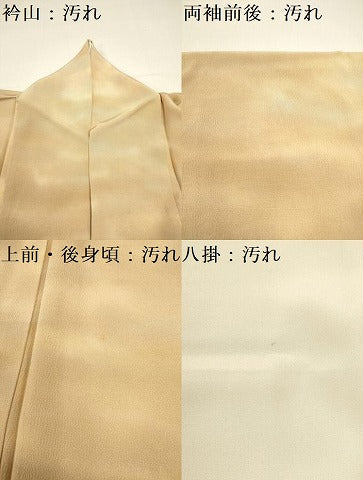平和屋着物■上質な小紋　霞文　暈し染め　お召縮緬　正絹　逸品　DABB6708ea