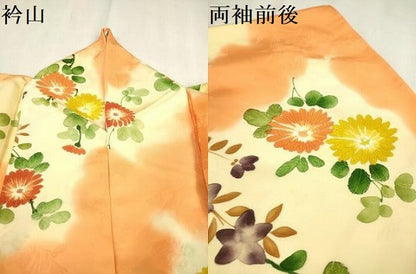 平和屋着物▼上質な小紋　地紋起こし　菊　桔梗　正絹　逸品　DABB6806ea