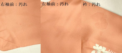 平和屋着物■訪問着 刺繍 草花文 暈し染め 正絹 逸品 DABB7427op