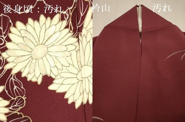 平和屋着物■訪問着 刺繍 菊松文 金彩 正絹 逸品 DABB7621op