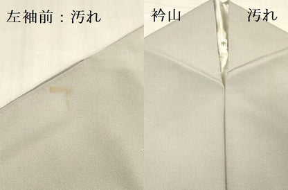 平和屋着物■訪問着 草花 暈し染め 金彩 正絹 逸品 DABB7624op