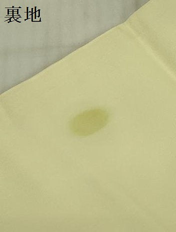 平和屋着物▼塩瀬　九寸名古屋帯　手描き　草花　金彩　正絹　逸品　DABB7859op