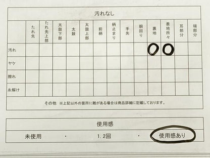 平和屋着物◎六通柄　京袋帯　立波文　金銀糸　正絹　逸品　DABB8402xg
