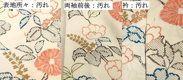 平和屋着物■上質な小紋 草花文 金彩 正絹 逸品 DABB8747cd