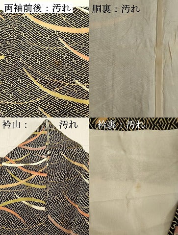 平和屋着物■上質な小紋 芝文 黒地 金彩 正絹 逸品 DABB8920cd