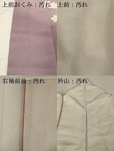 平和屋着物■訪問着 花鳥文 暈し染め 金銀彩 正絹 逸品 DABB8935cd