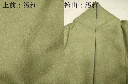 平和屋着物■訪問着 地紙飛鳥文 暈し染め 金銀彩 正絹 逸品 DABB8940cd