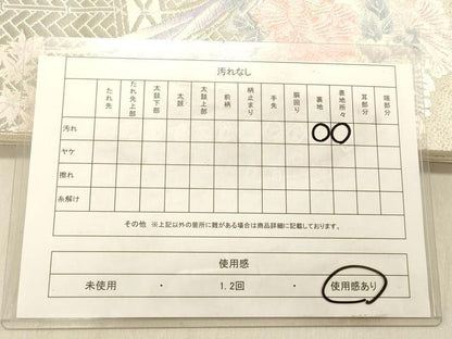 平和屋着物◎六通柄袋帯 唐織 花鳥文 プラチナ箔二重織 正絹 逸品 DABB9022ya