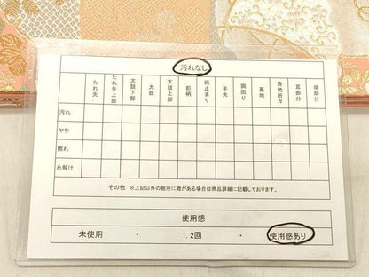平和屋着物◎六通柄袋帯　唐織　小袖尽くし　金銀糸　正絹　逸品　DABB9183ya
