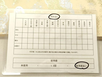 平和屋着物◎西陣 六通柄袋帯 霞文 金銀彩 正絹 逸品 DABB9223ya