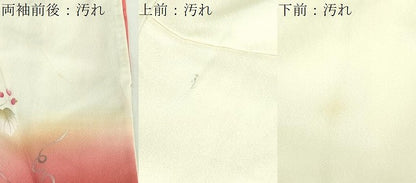 平和屋着物■訪問着 地紙枝花文 暈し染め 金銀彩 正絹 逸品 DABC0038sf