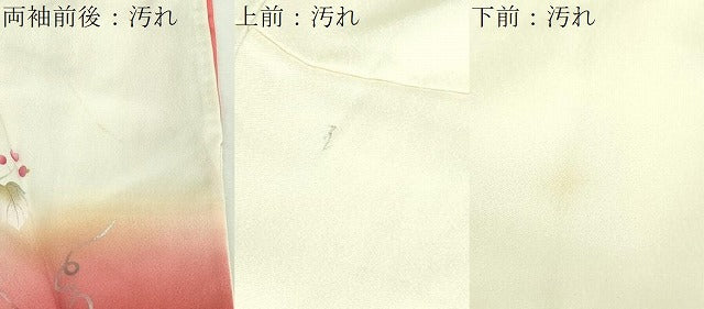 平和屋着物■訪問着 地紙枝花文 暈し染め 金銀彩 正絹 逸品 DABC0038sf
