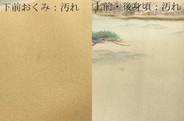 平和屋着物■訪問着 手描き 風景文 暈し染め 金彩 正絹 逸品 DABC0211sf