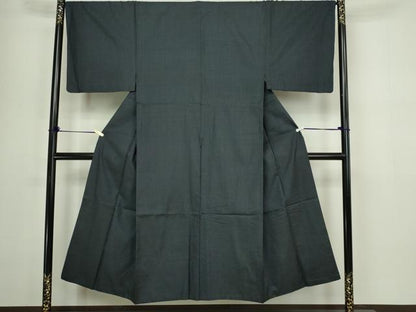 平和屋着物■本場大島紬　100亀甲　総詰め　正絹　逸品　DABC0314sf