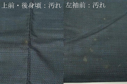 平和屋着物■男性 本場大島紬 100亀甲 総詰め 正絹 逸品 DABC0338sf