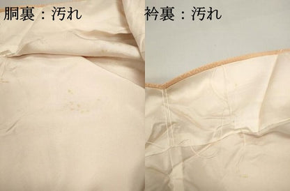 平和屋着物■訪問着 刺繍 道長花丸文 金彩 正絹 逸品 DABC0615qa