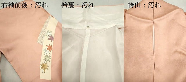 平和屋着物■訪問着 刺繍 熨斗花松文 金彩 正絹 逸品 DABC0923qa