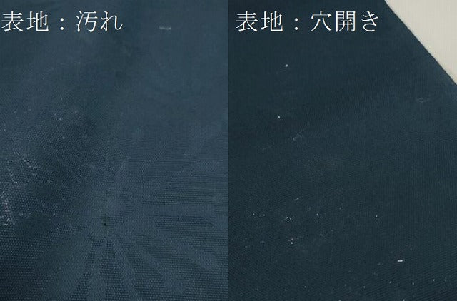 平和屋着物＊夏物 西陣 お召 反物 着尺 舞花文 逸品 未使用 DABC1767zzz
