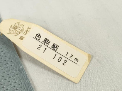 平和屋着物＊夏物 色無地 反物 着尺 色駒絽 五泉 堅牢染 灰青色 逸品 未使用 DABC1785zzz